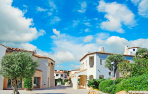 Second Newsletter Image